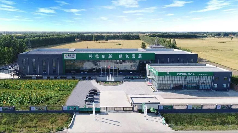 河北明珠白洋淀農(nóng)副產(chǎn)品科技有限公司 河北明珠白洋淀農(nóng)副產(chǎn)品科技有限公司